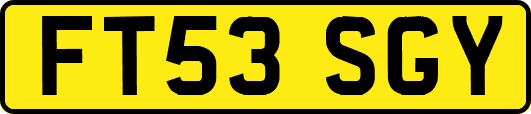 FT53SGY
