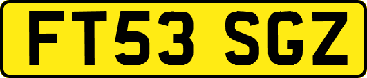 FT53SGZ