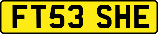 FT53SHE