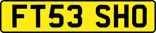 FT53SHO