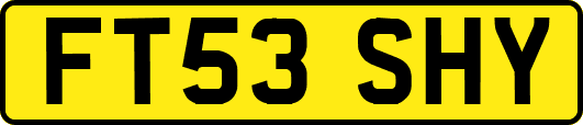 FT53SHY