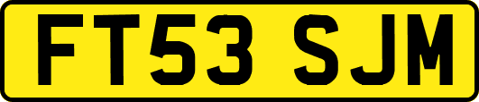 FT53SJM