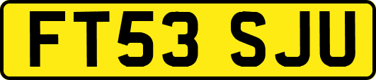 FT53SJU