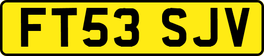FT53SJV