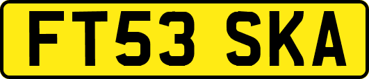 FT53SKA