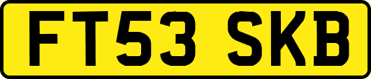 FT53SKB