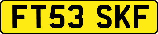 FT53SKF