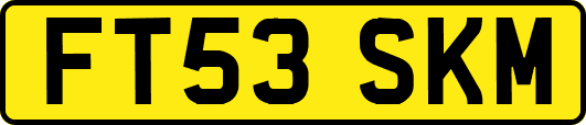 FT53SKM