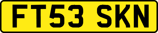 FT53SKN