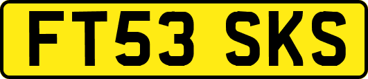 FT53SKS