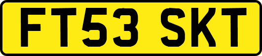 FT53SKT