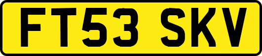 FT53SKV