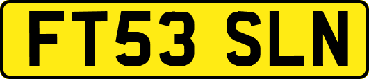 FT53SLN