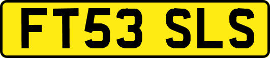 FT53SLS