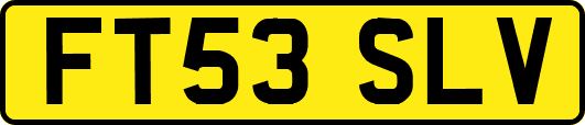 FT53SLV