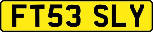 FT53SLY