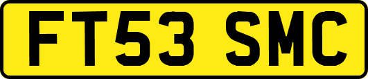 FT53SMC