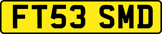 FT53SMD