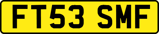 FT53SMF