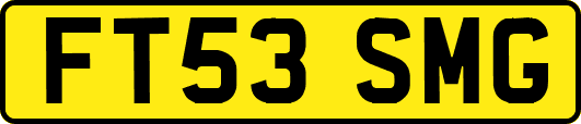 FT53SMG
