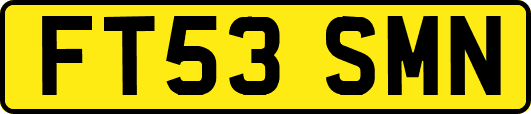 FT53SMN