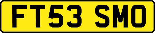FT53SMO