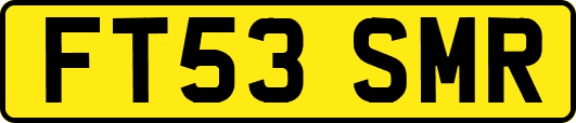 FT53SMR