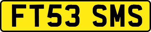 FT53SMS