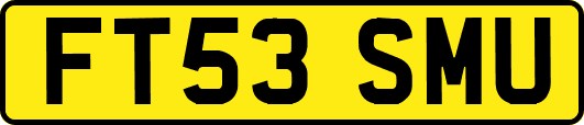 FT53SMU
