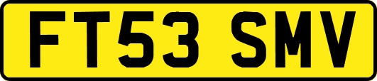 FT53SMV