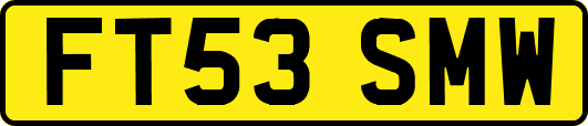 FT53SMW