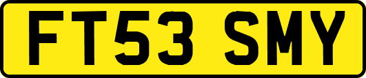 FT53SMY