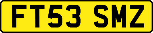 FT53SMZ