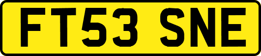 FT53SNE