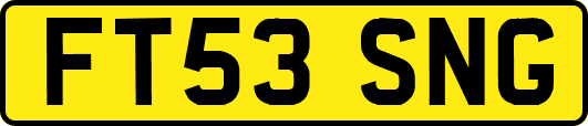FT53SNG
