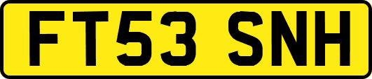 FT53SNH