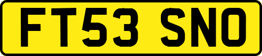 FT53SNO