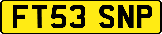 FT53SNP