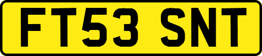 FT53SNT