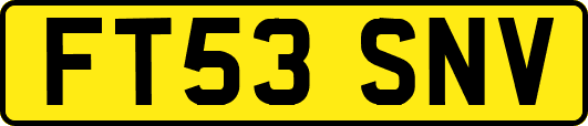 FT53SNV