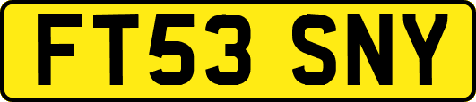 FT53SNY