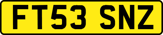 FT53SNZ