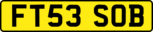 FT53SOB