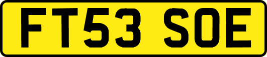 FT53SOE