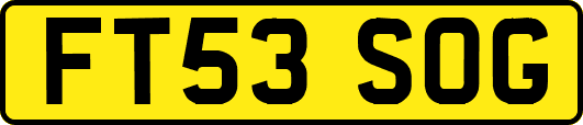 FT53SOG