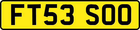 FT53SOO