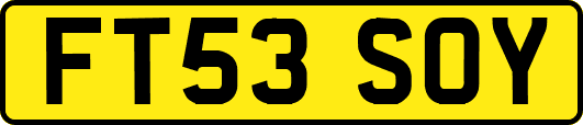 FT53SOY