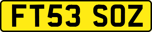 FT53SOZ