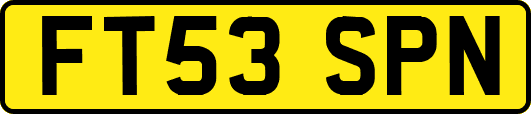 FT53SPN