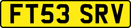 FT53SRV
